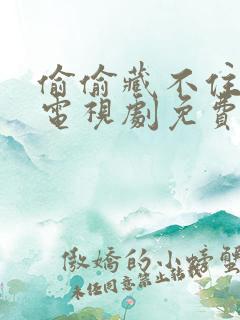 偷偷藏不住全集电视剧免费观看25集