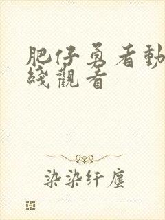 肥仔勇者动漫在线观看