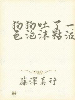 狗狗吐了一滩白色泡沫粘液还拉稀