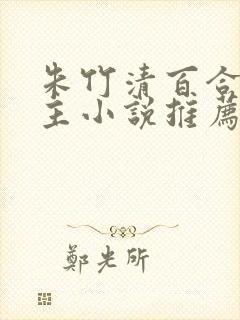 朱竹清百合双女主小说推荐