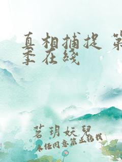 真相捕捉 第一季在线