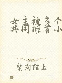 女主被多个男主共同拥有小说推荐