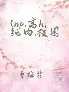(np,高h,纯肉,校园