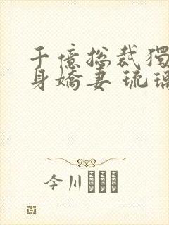 千亿总裁独宠替身娇妻 琉璃雪雪