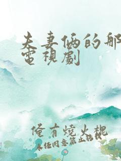 夫妻俩的那些事电视剧