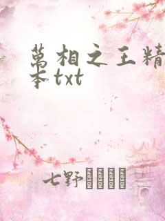 万相之王精校全本txt