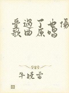 爱过了也伤过了歌曲原唱