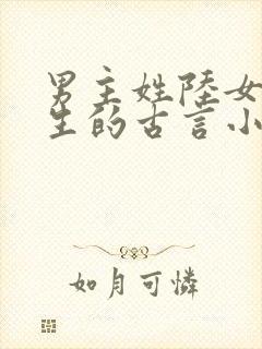 男主姓陆女主重生的古言小说