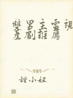 双男主电视剧国产剧推荐