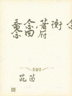 乔念,萧衡 念念回府