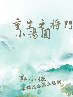 重生之将门毒妃 小汤圆