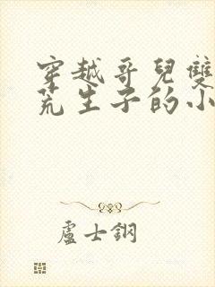 穿越哥儿双儿逃荒生子的小说