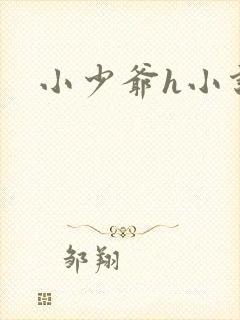 小少爷h小说