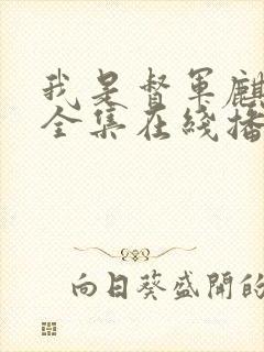 我是督军麒麟子全集在线播放