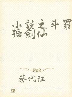 小说之斗罗之封号剑仙