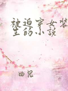 被迫穿女装做女生的小说