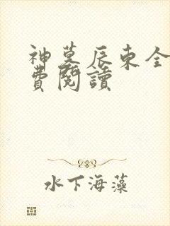 神墓辰东全文免费阅读
