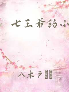 七王爷的小暗卫