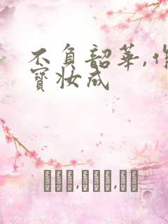 不负韶华,作者宝妆成