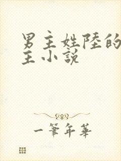男主姓陆的双男主小说