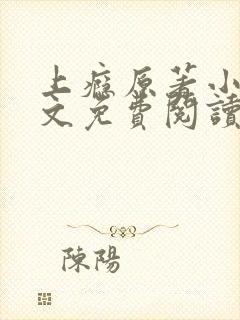 上瘾原著小说全文免费阅读