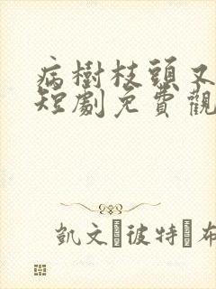 病树枝头又逢春短剧免费观看全集