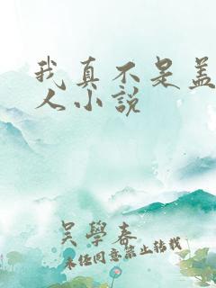 我真不是盖世高人小说