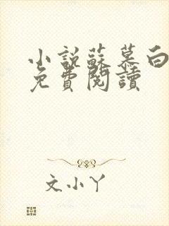 小说苏慕白林枫免费阅读