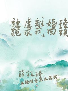 被虐离婚后厉总跪求我回头全集