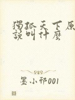 独孤天下原著小说叫什么