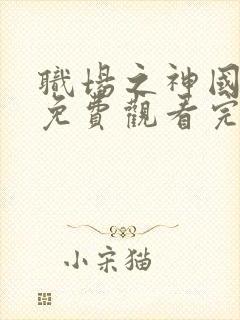 职场之神国语版免费观看完整版