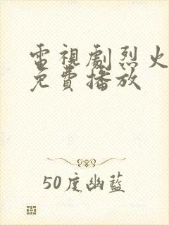 电视剧烈火战士免费播放