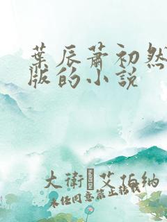叶辰萧初然最新版的小说