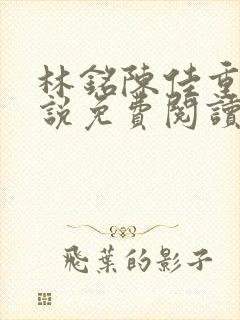 林铭陈佳重生小说免费阅读无弹窗