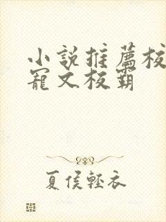 小说推荐校园甜宠文校霸