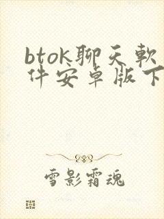 btok聊天软件安卓版下载