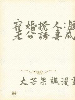 宠婚撩人:腹黑老公诱妻成瘾