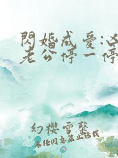 闪婚成爱:凶猛老公停一停