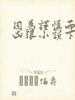 因为谨慎而过分凶狠小说下载