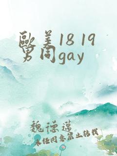 欧美18 19男同gay