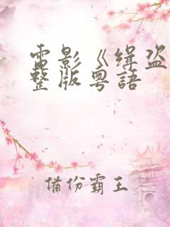 电影《缉盗》完整版粤语