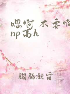 嗯啊 不要啊 np高h