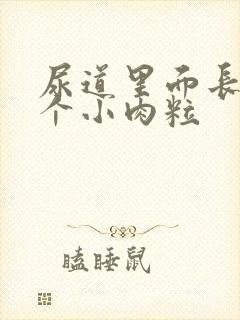 尿道里面长了一个小肉粒