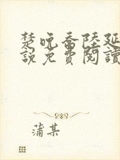 楚晚乔陆延浠小说免费阅读