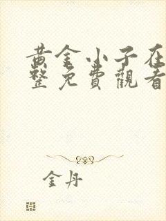 黄金小子在线完整免费观看高清
