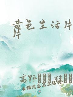 黄色生活片一级片