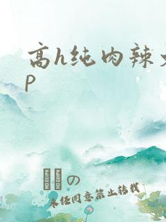 高h纯肉辣文np