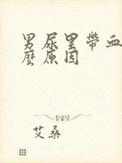 男尿里带血是什么原因