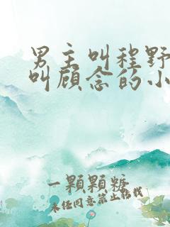 男主叫程野女主叫顾念的小说