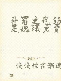 斗罗之我的武魂是魂环免费全文阅读